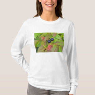 Riesengebäck im Flathead National T-Shirt