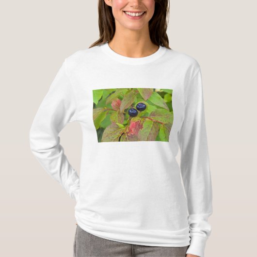 Riesengebäck im Flathead National T-Shirt (Vorderseite)