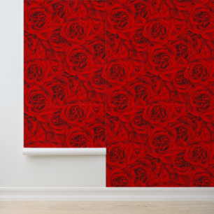 Riesengebirge Rote Rosen Elegantes Romantisches Hü Tapete