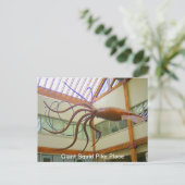 Riesengebirge Tintenfisch Pike Place Seattle, WA P Postkarte (Stehend Vorderseite)