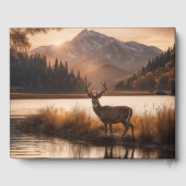 Riesengebirgshirsche auf Bergsee Info / Datum Gästebuch (Rückseite)