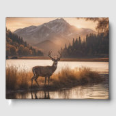 Riesengebirgshirsche auf Bergsee Info / Datum Gästebuch (Vorderseite)