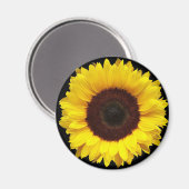 Riesengelber Garten Sonnenblume auf schwarzem Hint Magnet (Vorderseite/Rückseite)