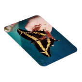 Riesengelbes Frack Butterfly Magnet (Rechte Seite)