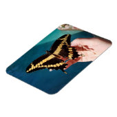 Riesengelbes Frack Butterfly Magnet (Linke Seite)