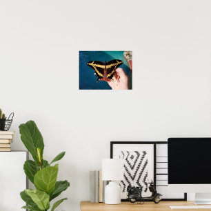 Riesengelbes Frack Butterfly Poster