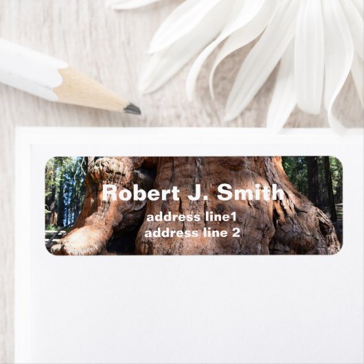 Riesengeschlecht-persönliche Adressetiketten. (Insitu)