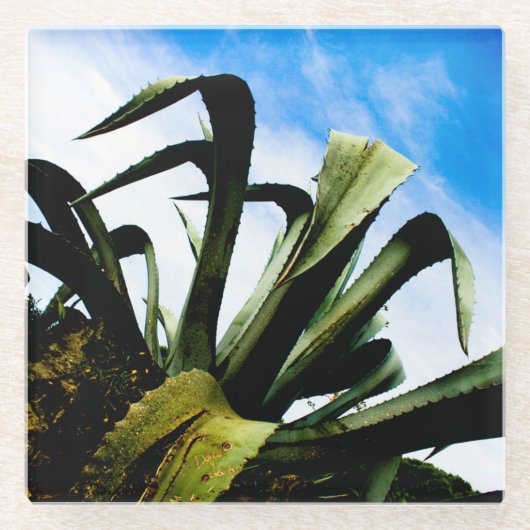 Riesengrüne Pflanze Glasuntersetzer (Vorderseite)