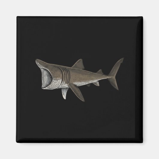 Riesenhaie Magnet (Vorne)