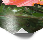 RiesenHibiskus Fotodruck (Ecke)