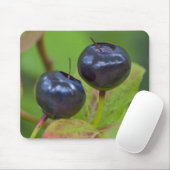 Riesenholzbeeren im Flathead National 2 Mousepad (Mit Mouse)