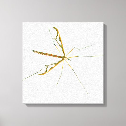 Rieseninsektengepackte Leinwand (Vorderseite)