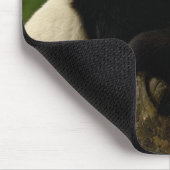 Riesenjunge (Ailuropoda melanoleuca) Mousepad (Ecke)