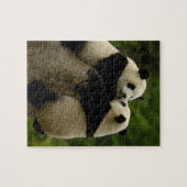 Riesenjunge (Ailuropoda melanoleuca) Puzzle (Horizontal)