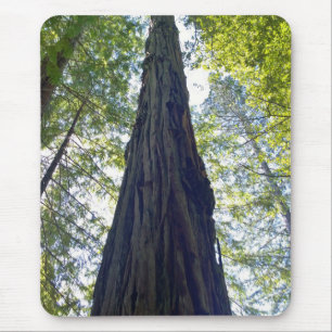 Riesenjunge Redwood Tree Mousepad