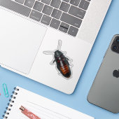 Riesenkakroach Aufkleber (Laptop mit iPhone)