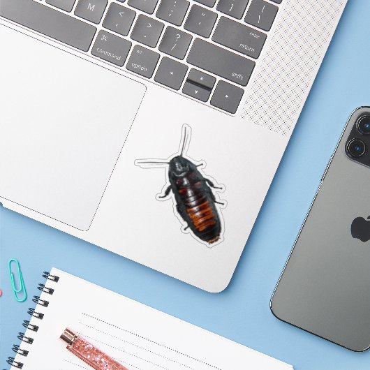 Riesenkakroach Aufkleber (Laptop mit iPhone)
