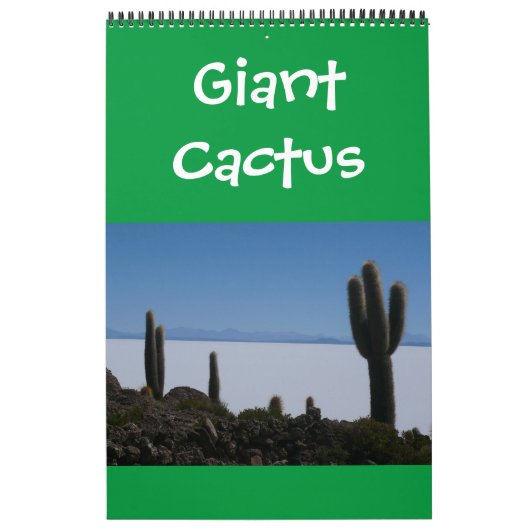 Riesenkakti Kalender (Titelbild)