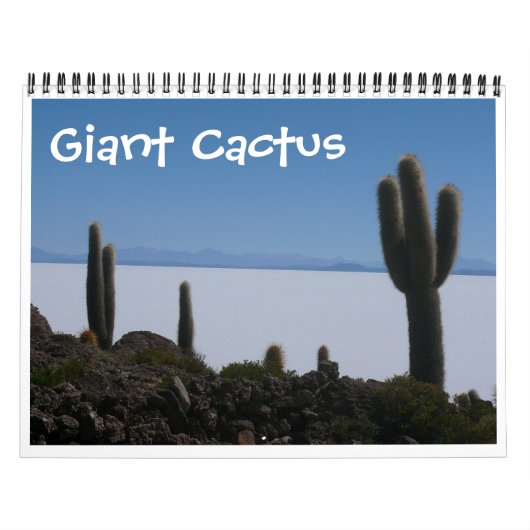 Riesenkaktus 2025 kalender (Titelbild)