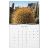 Riesenkaktus 2025 kalender (Mär 2027)