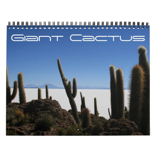Riesenkaktus 2025 kalender (Titelbild)
