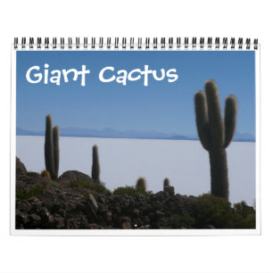 Riesenkaktus 2026 kalender