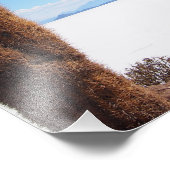 Riesenkaktus auf dem Foto Salar de Uyuni (Ecke)