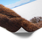 Riesenkaktus auf dem Poster Salar de Uyuni (Ecke)