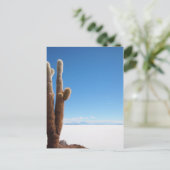 Riesenkaktus auf der Postkarte des Salar de Uyuni (Stehend Vorderseite)