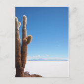 Riesenkaktus auf der Postkarte des Salar de Uyuni (Vorderseite)