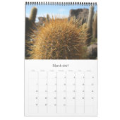 Riesenkaktus bolivien kalender (Mär 2027)
