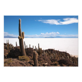 Riesenkaktus im Foto Salar de Uyuni