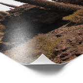 Riesenkaktus im Foto Salar de Uyuni (Ecke)