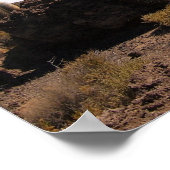 Riesenkaktus im Poster Salar de Uyuni (Ecke)