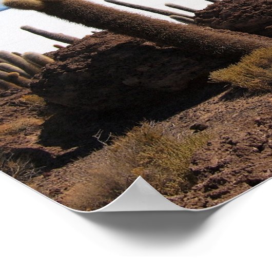 Riesenkaktus im Poster Salar de Uyuni (Ecke)