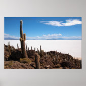 Riesenkaktus im Poster Salar de Uyuni (Vorne)
