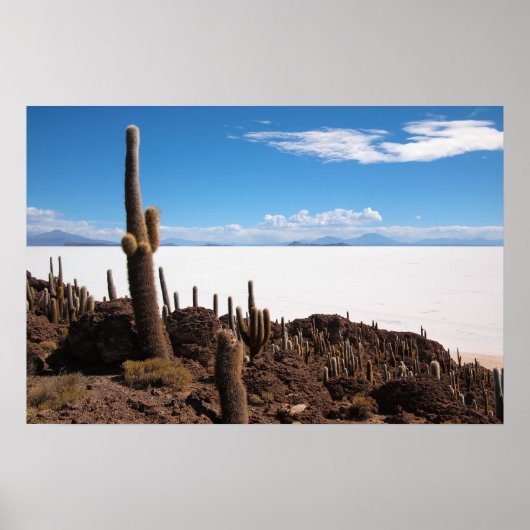 Riesenkaktus im Poster Salar de Uyuni (Vorne)