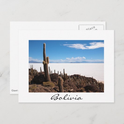 Riesenkaktus im Salar de Uyuni, Bolivien Postkarte (Vorne/Hinten)