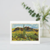 Riesenkaktus in der Vintagen Postkartenlandschaft Postkarte (Stehend Vorderseite)