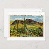 Riesenkaktus in der Vintagen Postkartenlandschaft Postkarte (Vorne/Hinten)