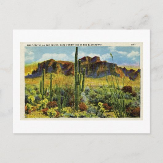 Riesenkaktus in der Vintagen Postkartenlandschaft  Postkarte (Vorderseite)