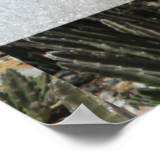 Riesenkaktus Poster (Ecke)