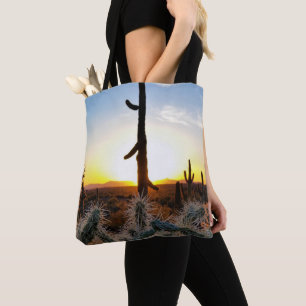 Riesenkaktus Saguaro bei Sonnenuntergang in der So Tasche