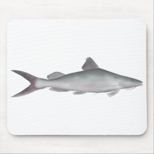 Riesenkatzer Mousepad