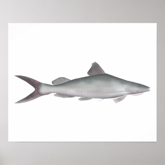 Riesenkatzer Poster (Vorne)