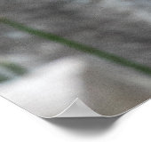 RiesenKingfisher auf der Kante Poster (Ecke)