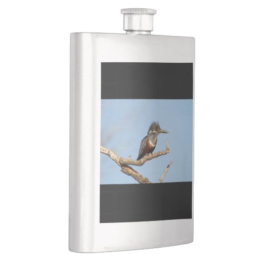 Riesenkönigin Flachmann (Rechts)