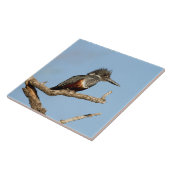 Riesenkönigin Fliese (Seite)