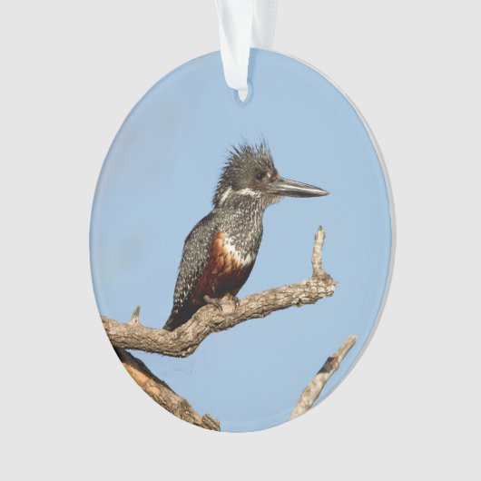 Riesenkönigin Ornament (Vorderseite)