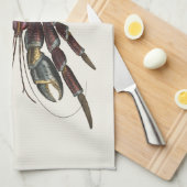 Riesenkrebse - Vintage Illustration Geschirrtuch (Viertel Falte)